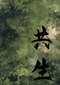 高速公路模拟视频