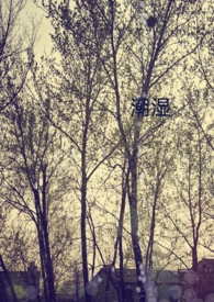 潮湿疙瘩用什么药